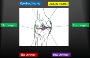 syndesmoi-gonatos-koutsostathis