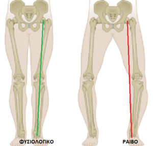 paramorfosi-gonatos-koutsostathis